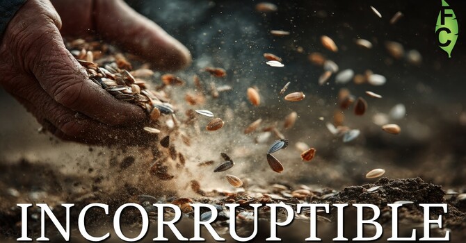 The Powerful Word of God 