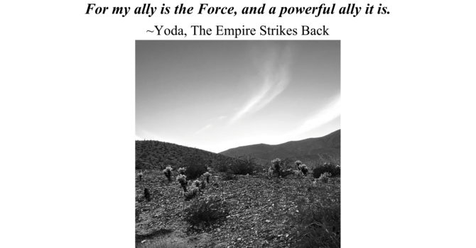 HOLY WORSHIP THIS SUNDAY, MARCH 15 AT 11:00 A.M. image