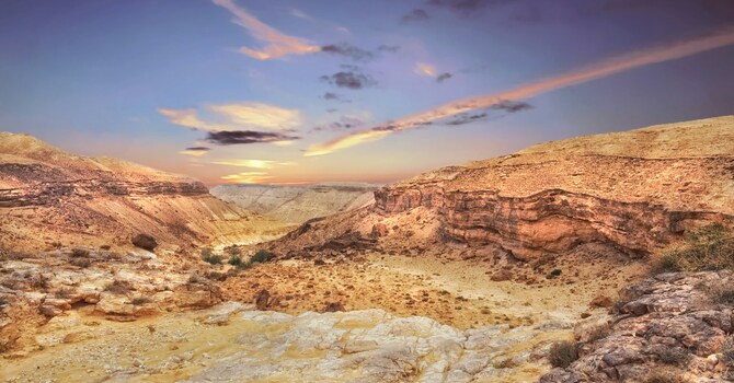 Bewildering Wilderness