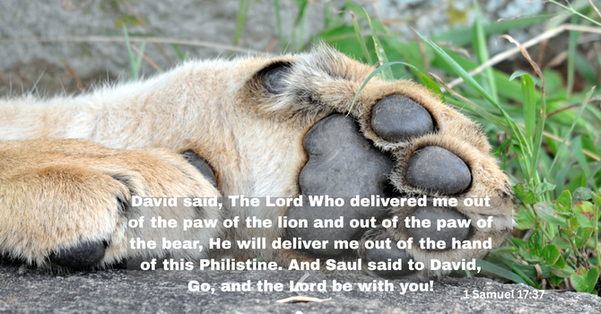 Walk in Faith and Depend on God’s Presence! image