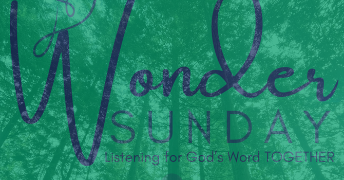 The Fifteenth Sunday after Pentecost