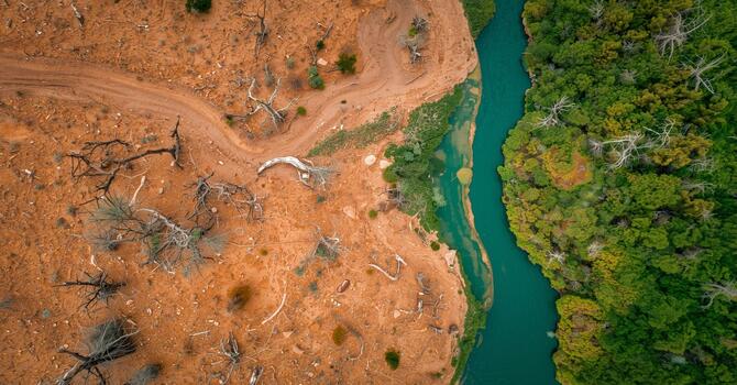 From Complaint to Trust to Testimony- Saturday, 03/14/26