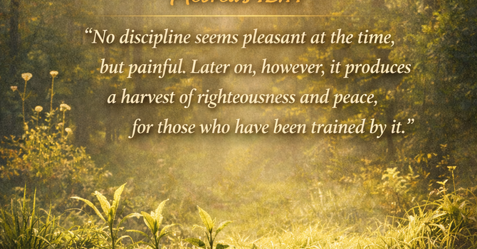 Trusting The Process image