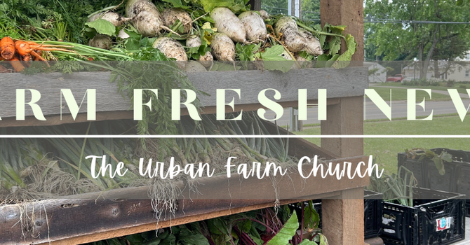 Urban Farm Church