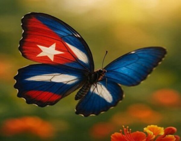 Solidarity and Support for Cuba