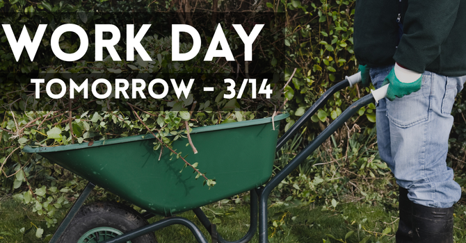 Help keep our church grounds beautiful! image