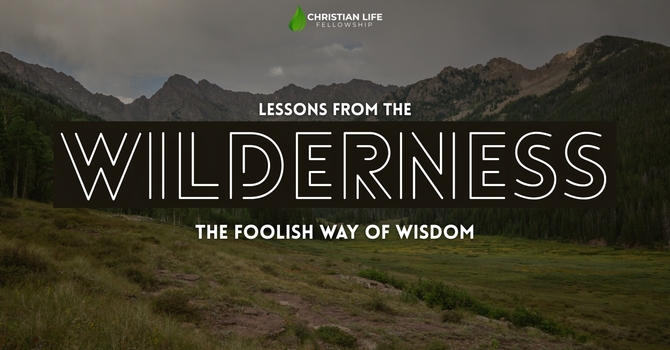 The Foolish Way of Wisdom