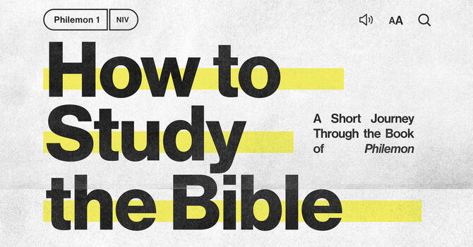 Beginner’s Guide to Studying the Bible