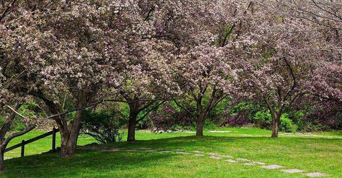 Election Day - Church closed