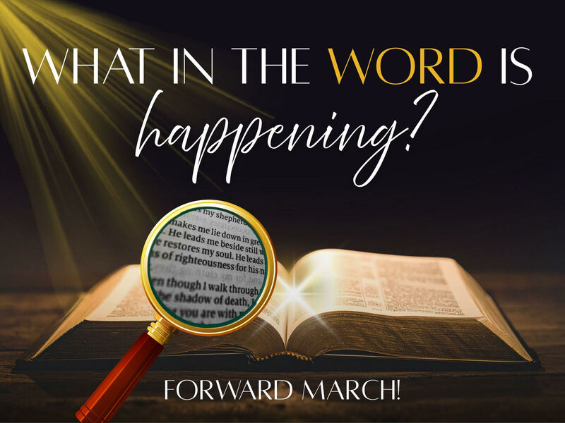 What In The Word Is Happening 