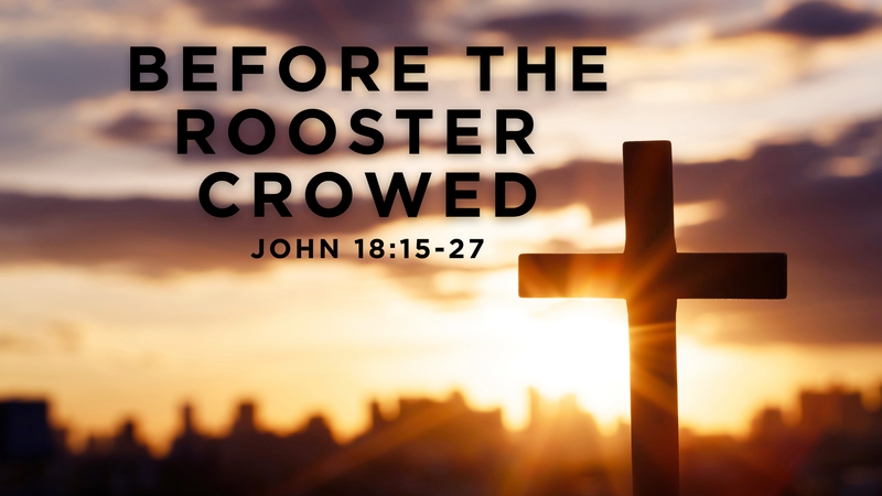 BEFORE THE ROOSTER CROWED