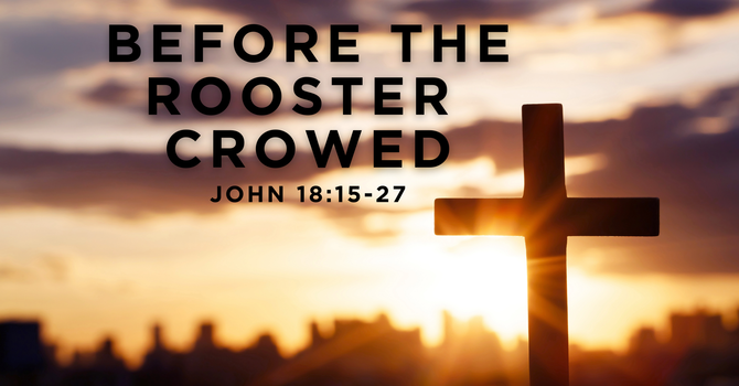 BEFORE THE ROOSTER CROWED