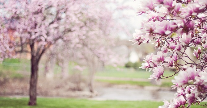 March 16, 2026 Devotion image