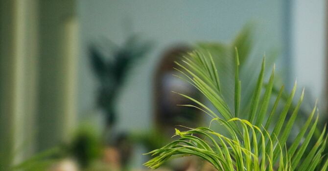 Celebrating Easter at EEFC image