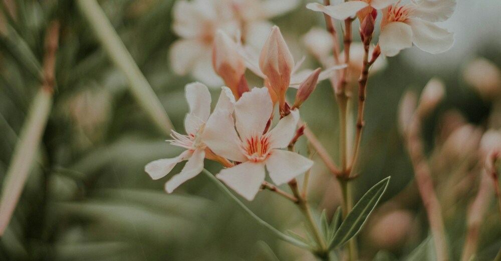 The Power of a Quiet Life