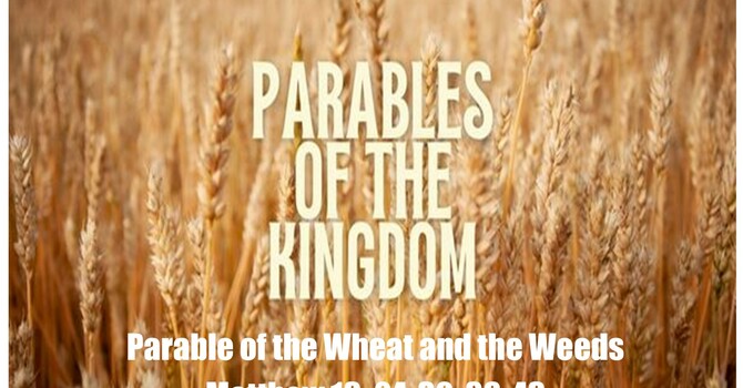 The Parable of the Wheat And the Weeds