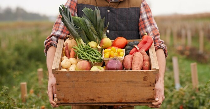 Spring is almost here-which means gardening!