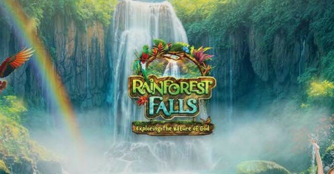 Rainforest Falls VBS Registration is OPEN! image