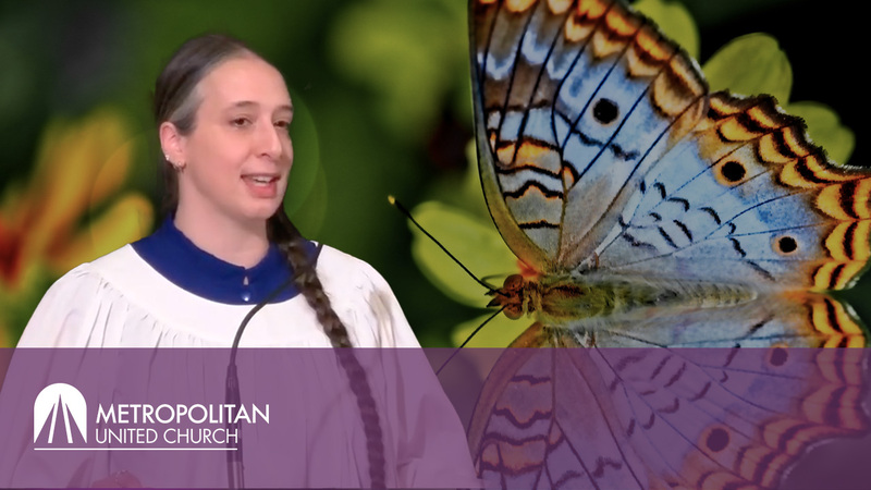 "The Importance of PIE" - Amanda O'Halloran