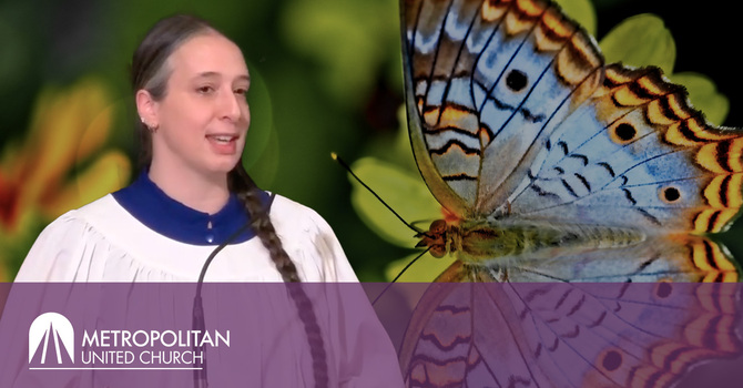 "The Importance of PIE" - Amanda O'Halloran