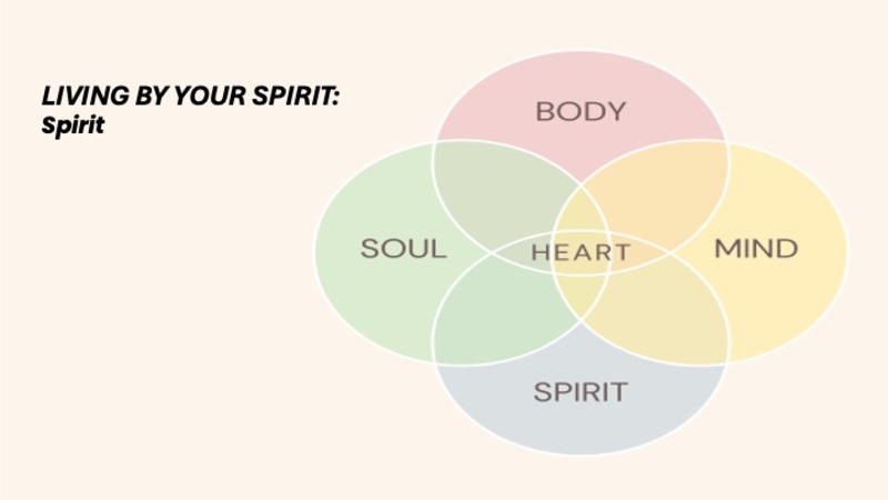 Living By Your Spirit Week 6