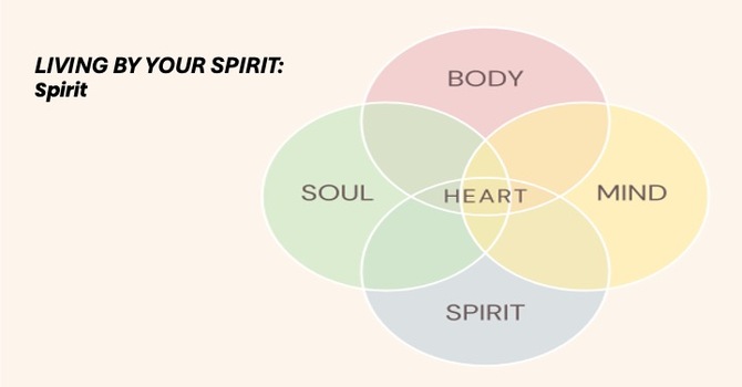 Living By Your Spirit Week 6