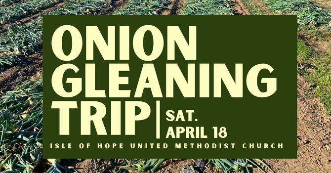 Onion Gleaning Day