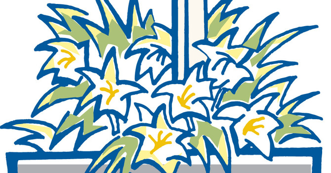 WOULD YOU ATTEND AN EASTER VIGIL?