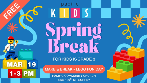 Make & Break LEGO Fun Day