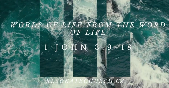  Loved To Love Looking For The Story Behind The Name