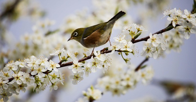 March 17, 2026 Devotion image