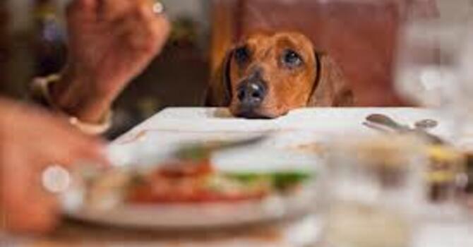 THE CRUMB THAT CHANGED EVERYTHING image