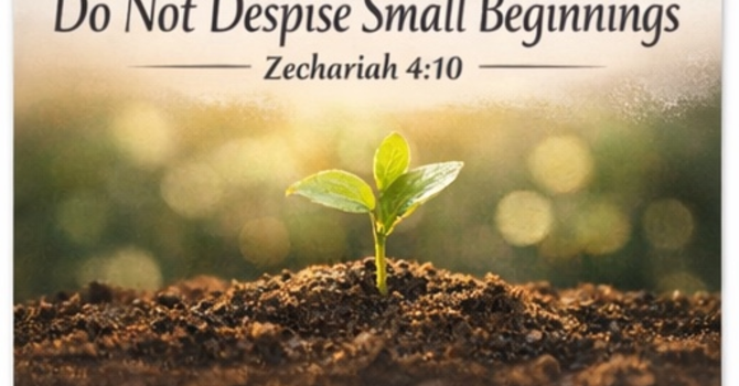 Do Not Despise Small Beginnings image