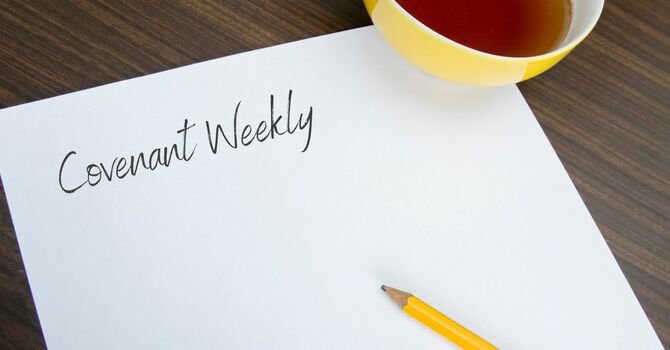 Season 5 - Episode 28