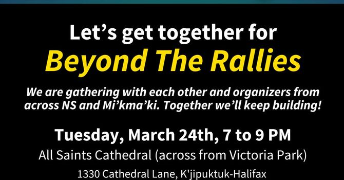 The Many VS The Money 