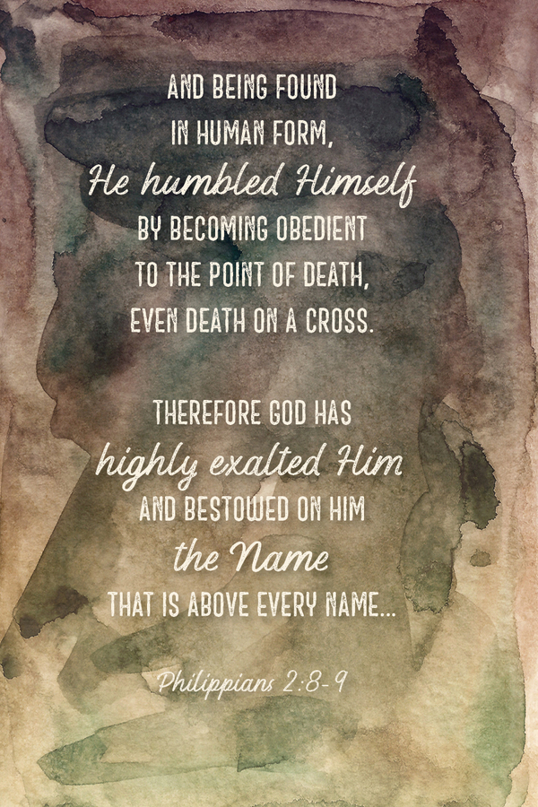 Fighter Verse | March 15, 2026