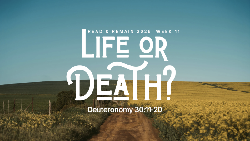 Life or Death?