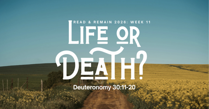 Life or Death?