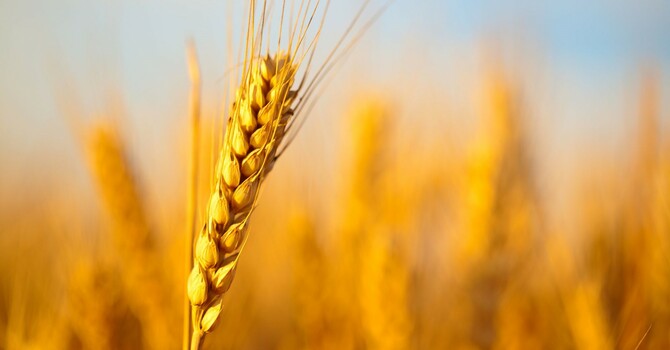 June Quarterly Meeting