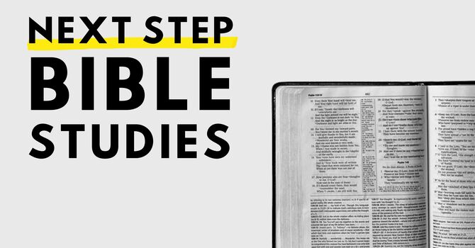 Next Step Bible Studies 