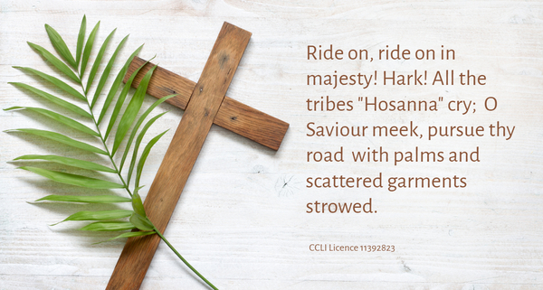 The Sunday of the Passion: Palm Sunday