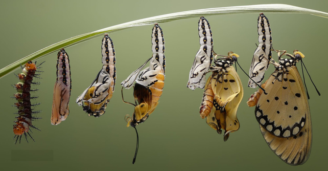 Living With Change image