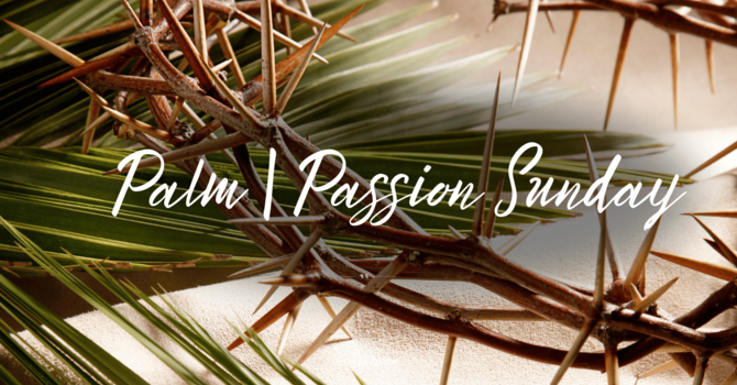 Palm | Passion Sunday