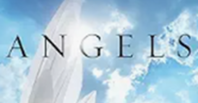 The Trinity Women’s spring Bible Study