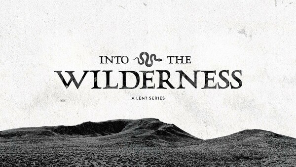 Into The Wilderness 