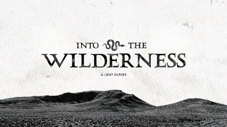 Into The Wilderness 