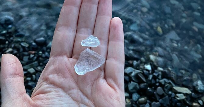 The Fifth Sunday in Lent