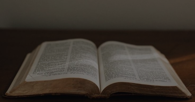 God Has Not Forgotten image