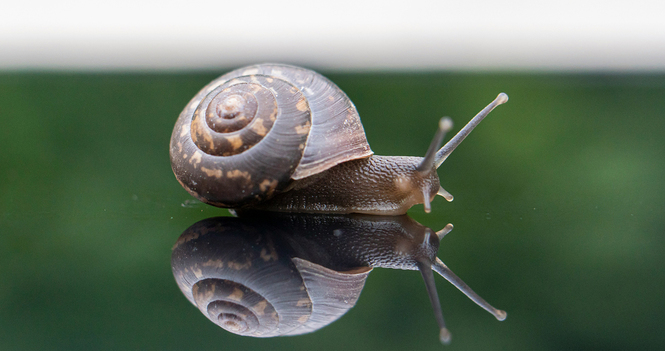 'Slow Media' as your form of outreach