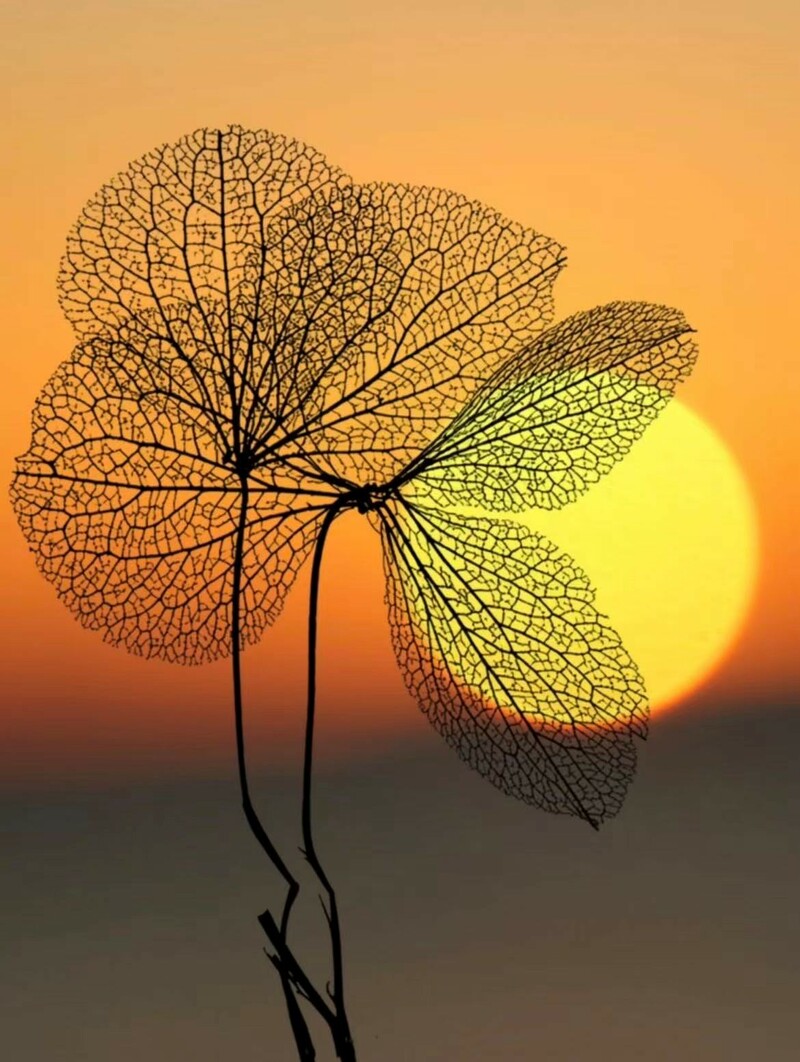 尋求神引導的禱告 - 亞伯拉罕僕人的呼求